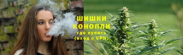 сатива Верхний Тагил