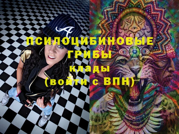 сатива Верхний Тагил